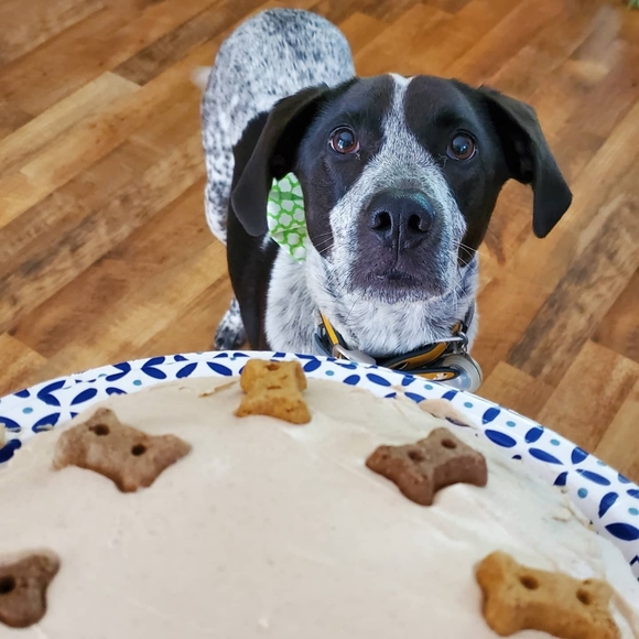 Meet your Posher, Samantha - Picture 4 of 6